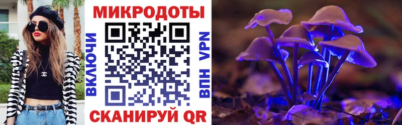 Галлюциногенные грибы прущие грибы kraken Хилок где можно купить